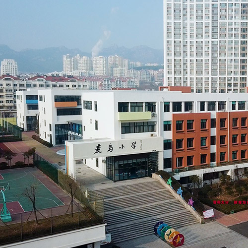 海信麦岛金岸小学